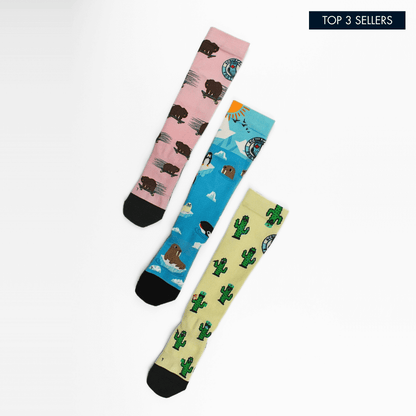 Top 3 Sellers Bundle