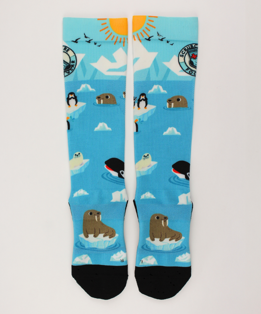 Compression socks for nurses with a polar theme, socks lying flat and facing up.