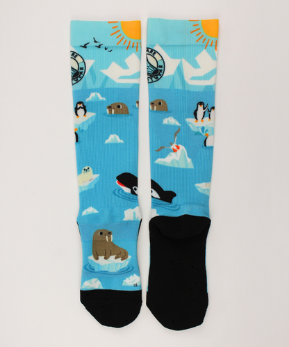 Compression socks for nurses with a polar theme, socks lying flat and facing back.