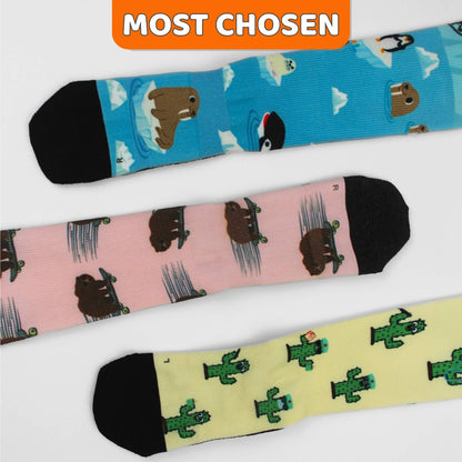 Top 3 Sellers Bundle